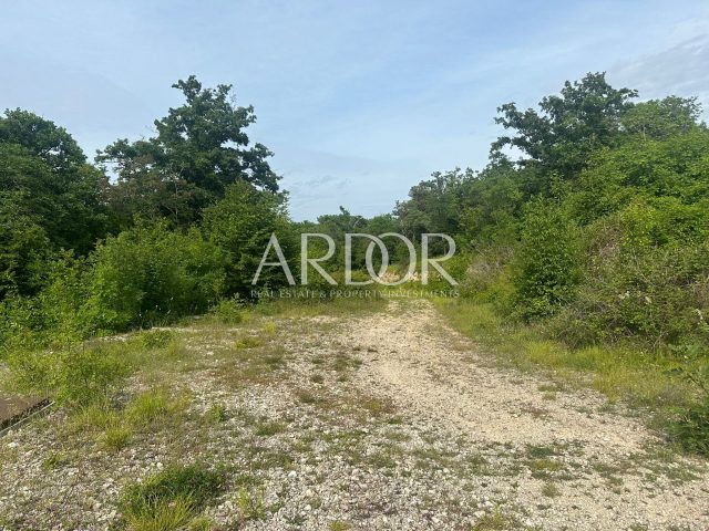 Land for sale 21000 m² – Matulji