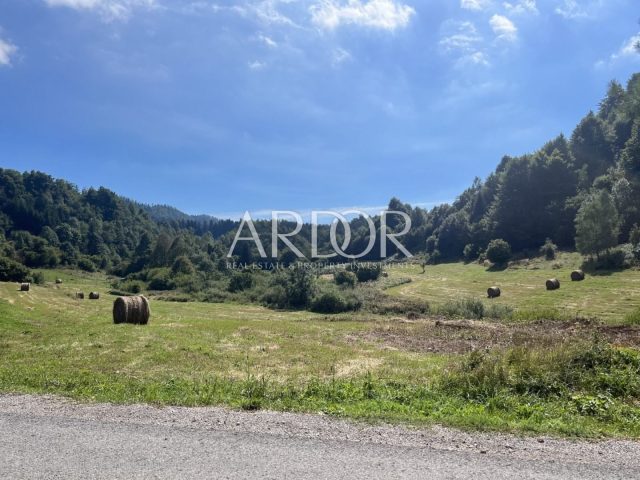 Pozemek na prodej 2219 m² – Delnice