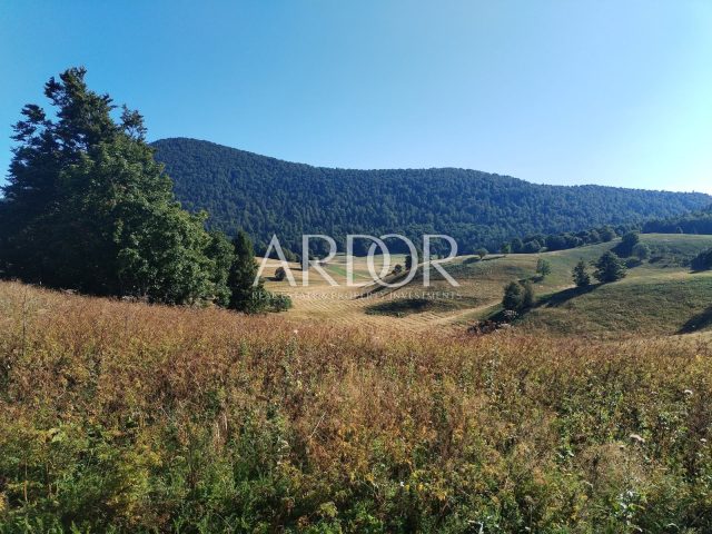Land for sale 4921 m² – Mrkopalj