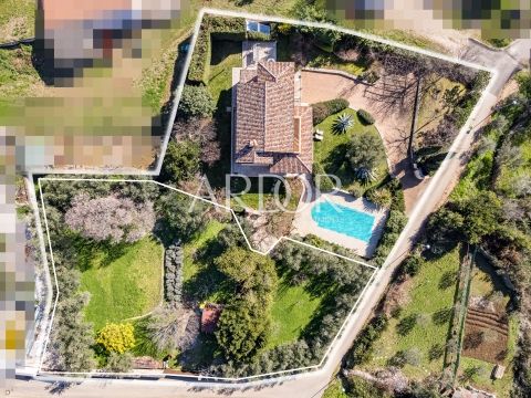 House For sale - Brtonigla - foto 3/26