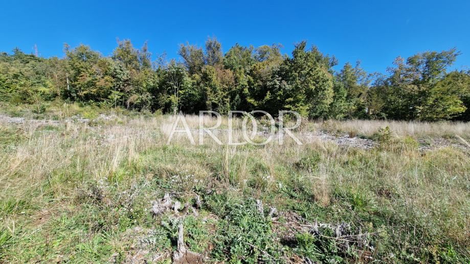 Terrain À vendre -  Čavle