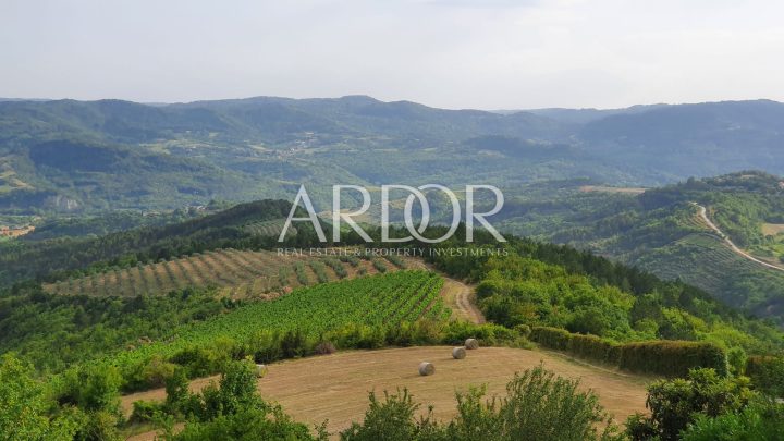 Parcela Naprodaj - Istarska Grimalda - foto 2/3