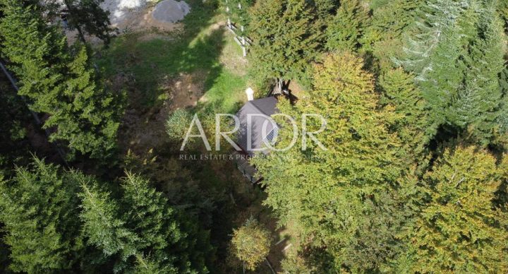 Land For sale - Primorsko-goranska Lokve - foto 2/14