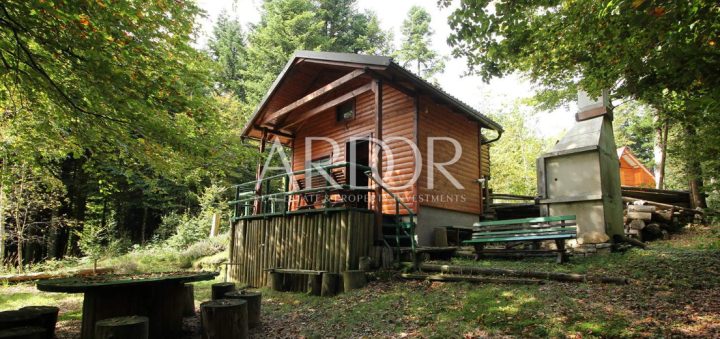 Land For sale - Primorsko-goranska Lokve - foto 4/14