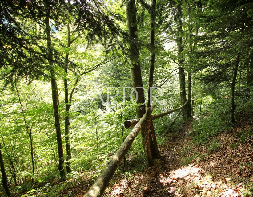 Land For sale - Primorsko-goranska Lokve