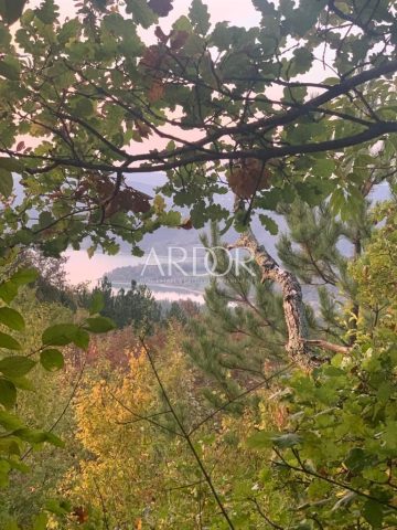 Terrain à vendre 44000 m² – Pazin - Okolica