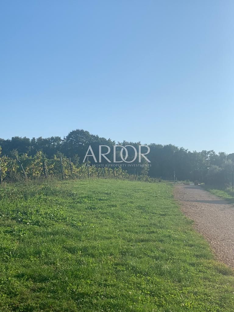 Land For sale -  Butoniga