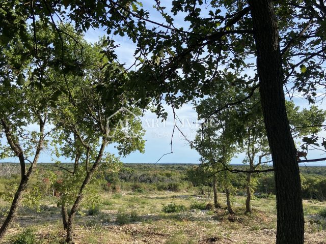 Pozemek na prodej 6654 m² – Bale