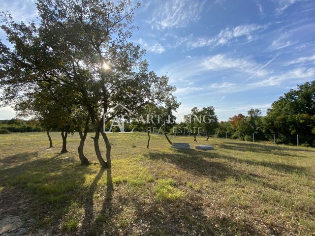 Pozemek na prodej 10427 m² – Bale