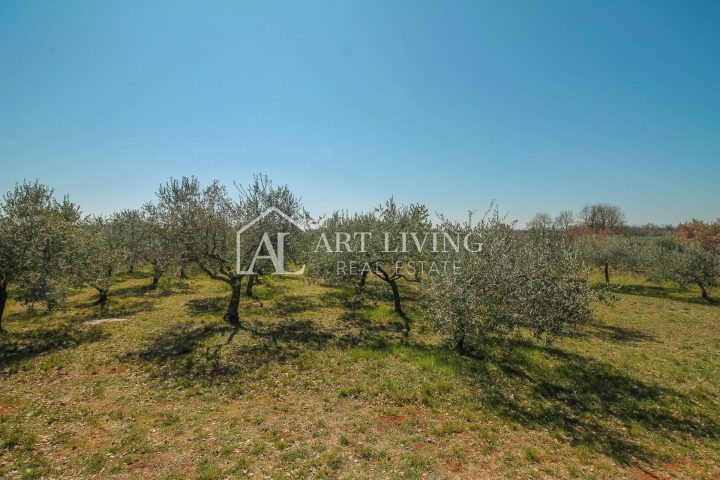 Grundstück Zu verkaufen - Novigrad - foto 5/7