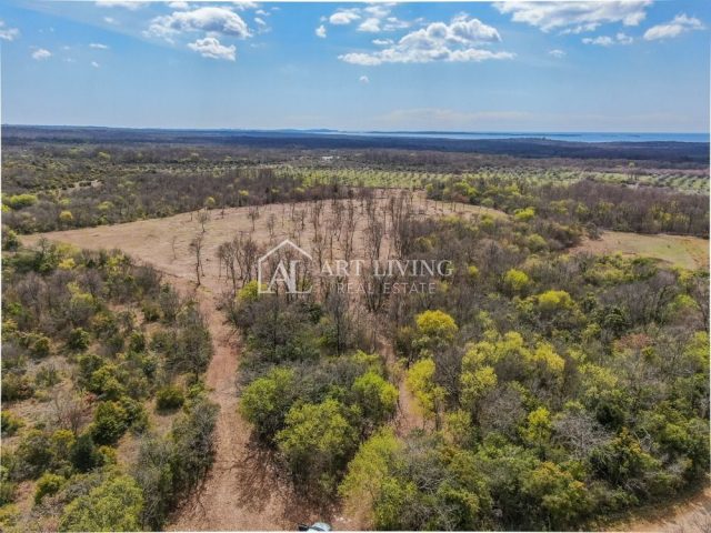 Land For sale - Istarska Bale - foto 2/14