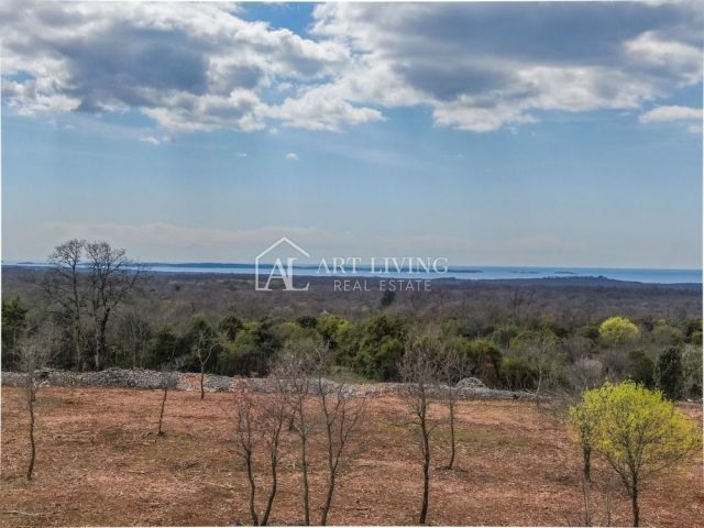 Pozemek na prodej 11470 m² – Bale