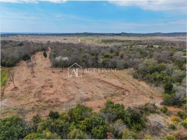 Pozemek na prodej 9865 m² – Bale