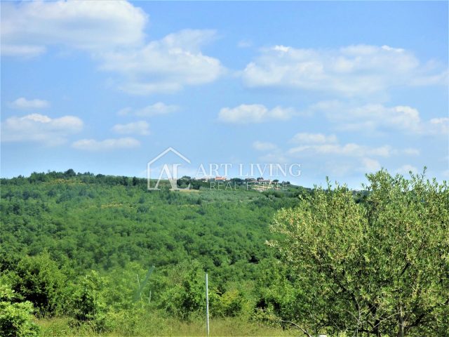 Pozemok na predaj 31000 m² – Brtonigla