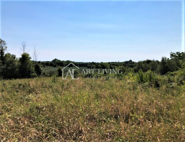 Terrain à vendre 3618 m² – Novigrad