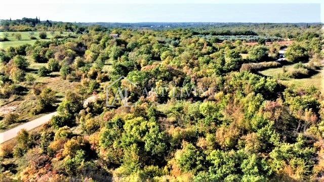 Pozemek na prodej 12060 m² – Umag