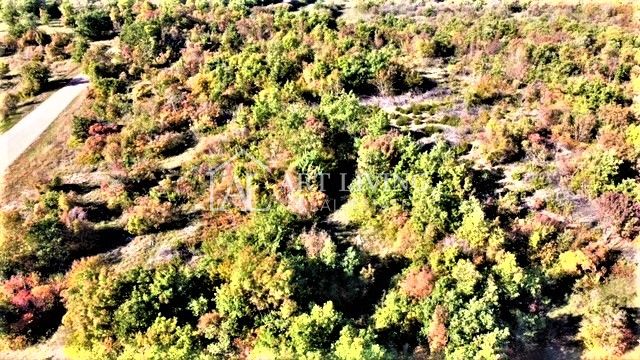 Parcela Na predaj - Istarska Umag - foto 5/9