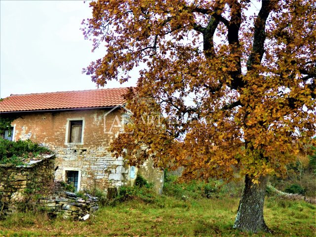 Haus Zu verkaufen - Istarska Oprtalj - foto 5/18