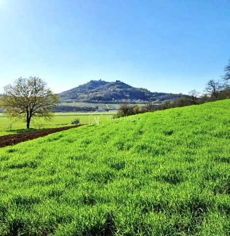 Land For sale — Motovun