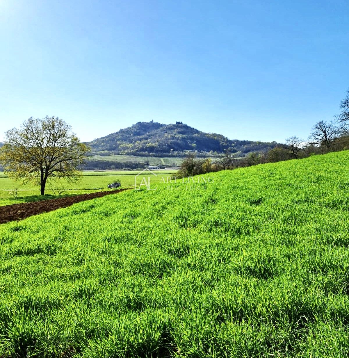 Zemljište Na prodaju -  Motovun