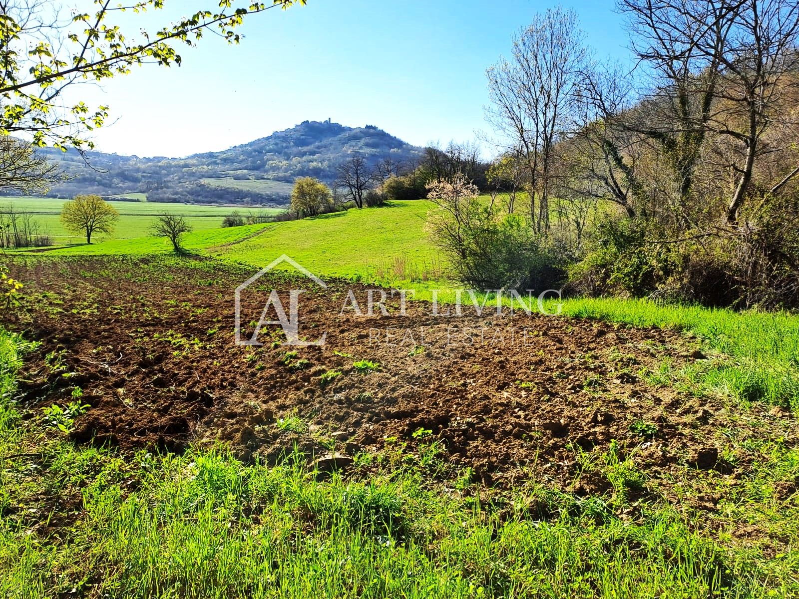 Zemljište Na prodaju -  Motovun