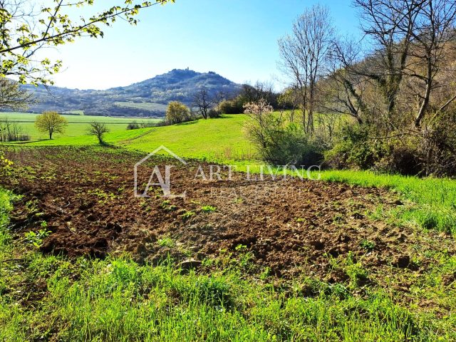 Land for sale 6000 m² – Motovun
