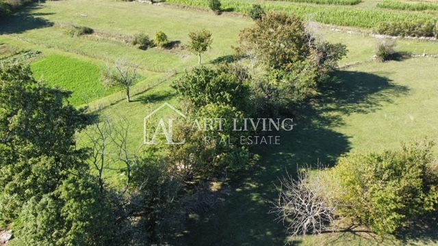 House For sale -  Žminj