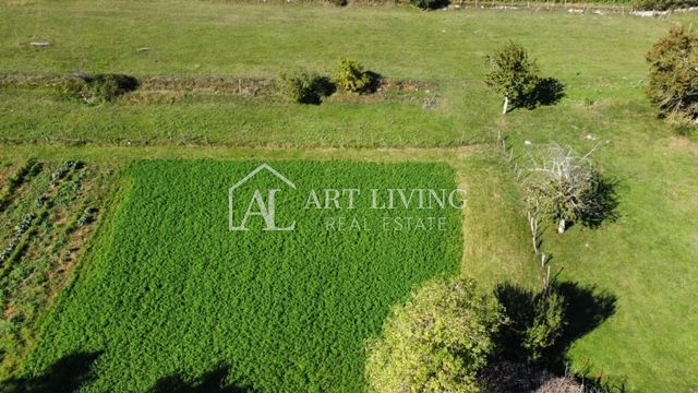 House For sale -  Žminj
