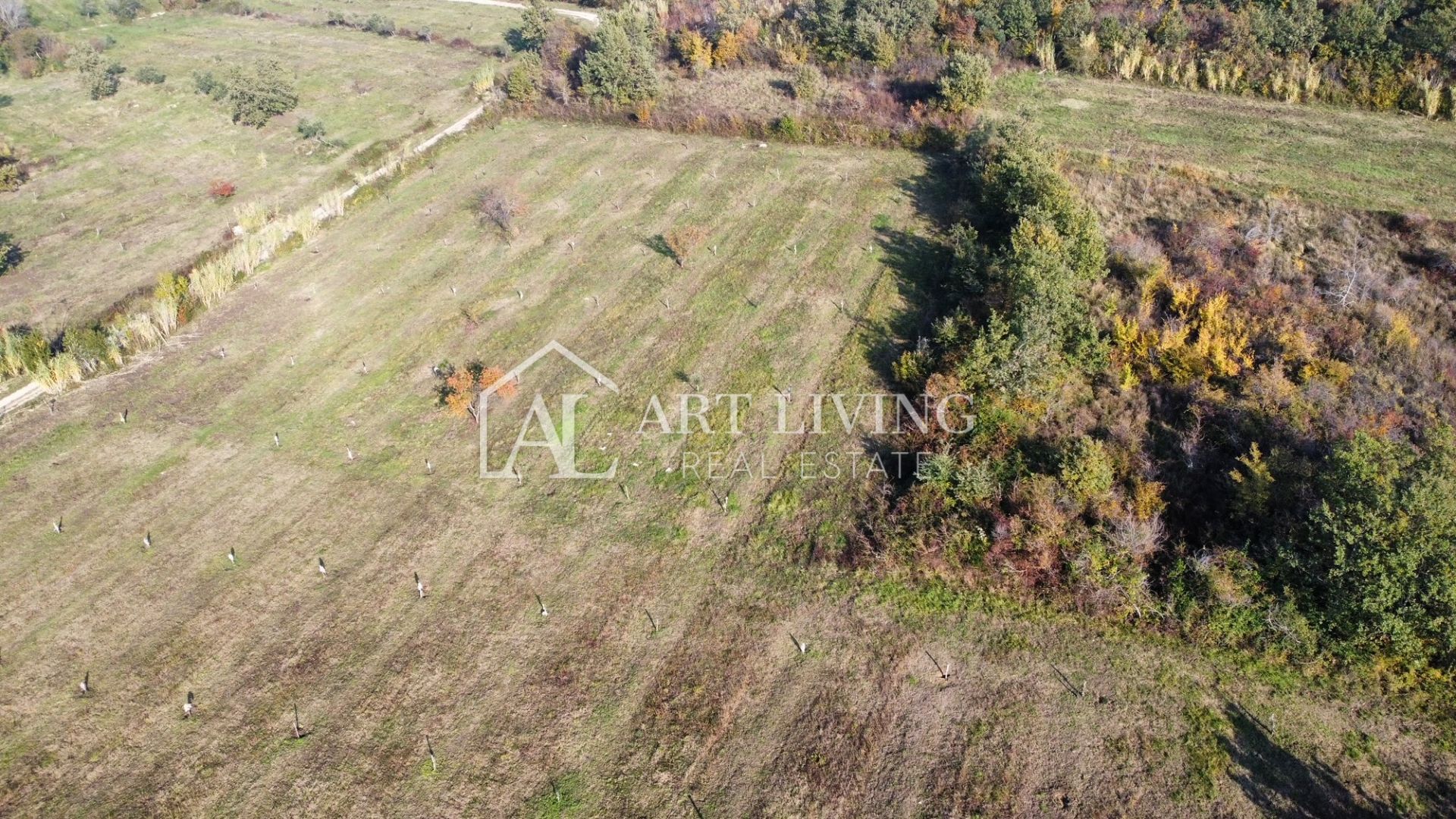 Terreno In vendita - Istarska Umag - foto 3/12