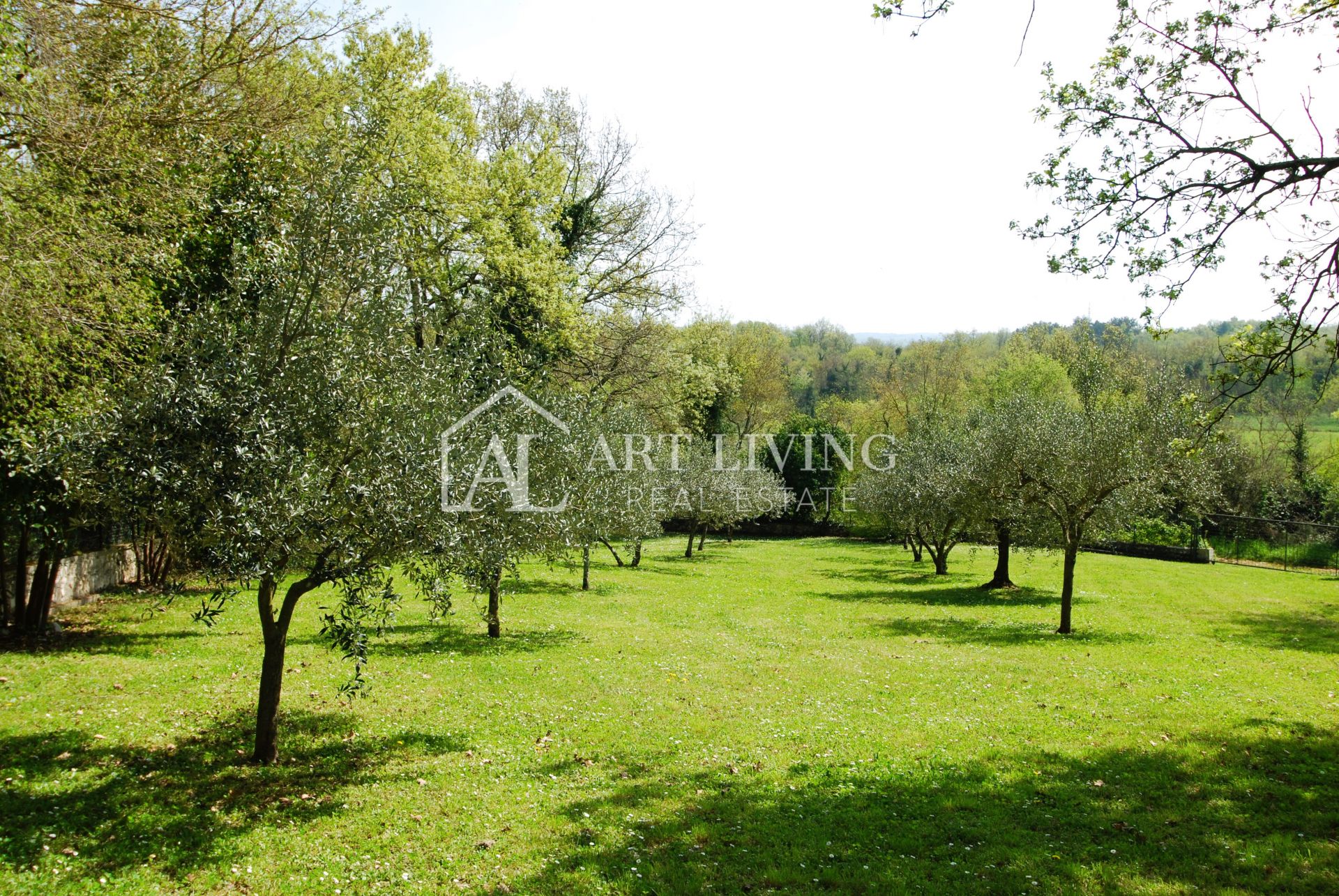 House For sale -  Novigrad