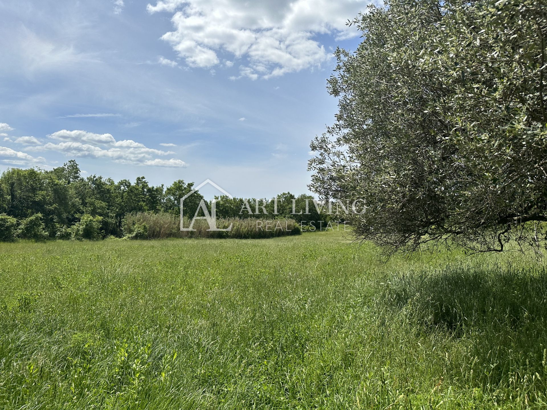 Parcela Na predaj - Istarska Buje
