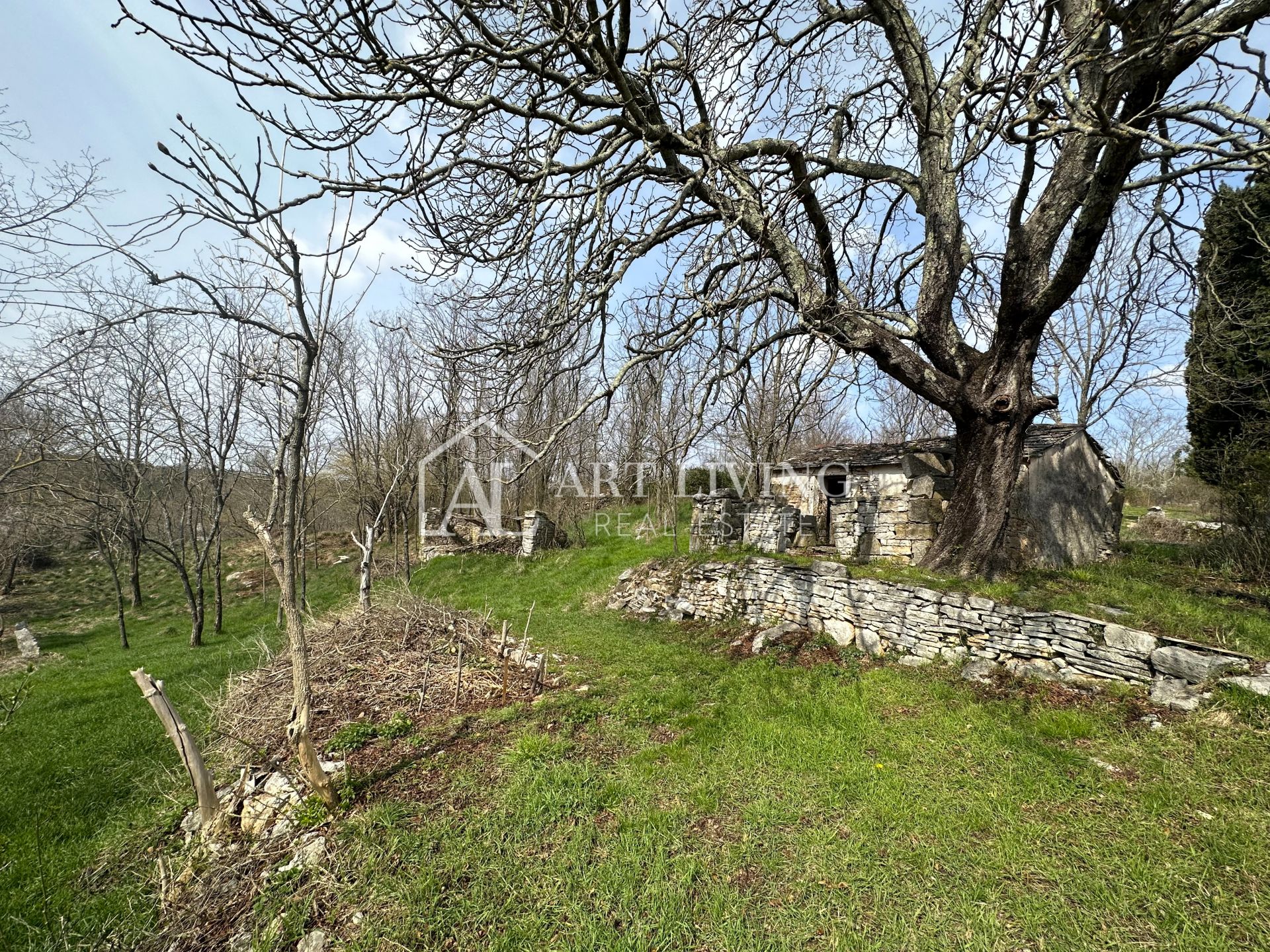 Maison À vendre -  Grožnjan