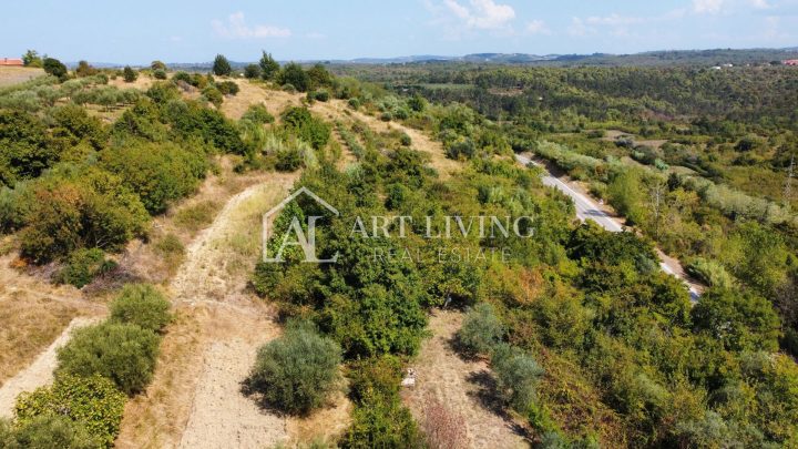 Działka na sprzedaż 3000 m² – Buje