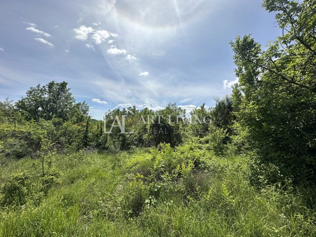 Terreno in vendita 37200 m² – Buje