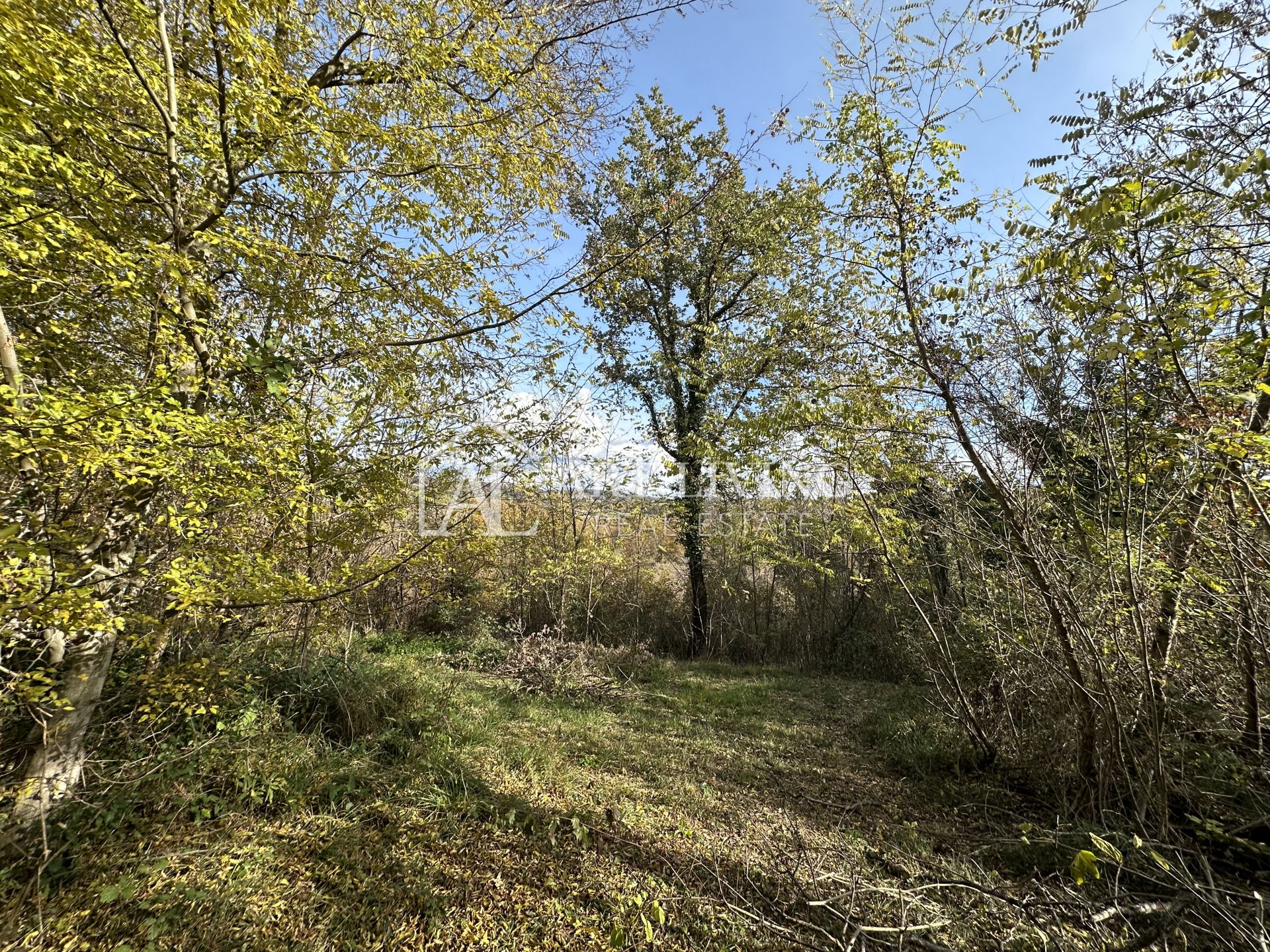 Zemljište Na prodaju - Istarska Buje - foto 1/9