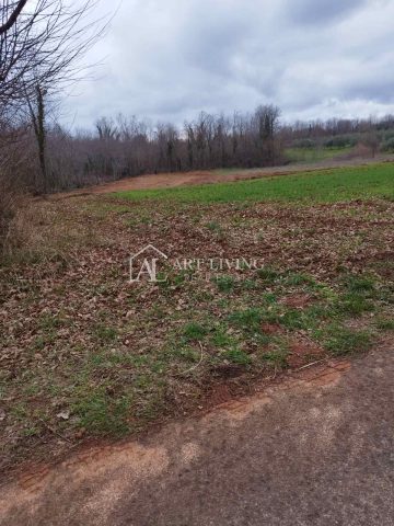Land for sale 11669 m² – Barban