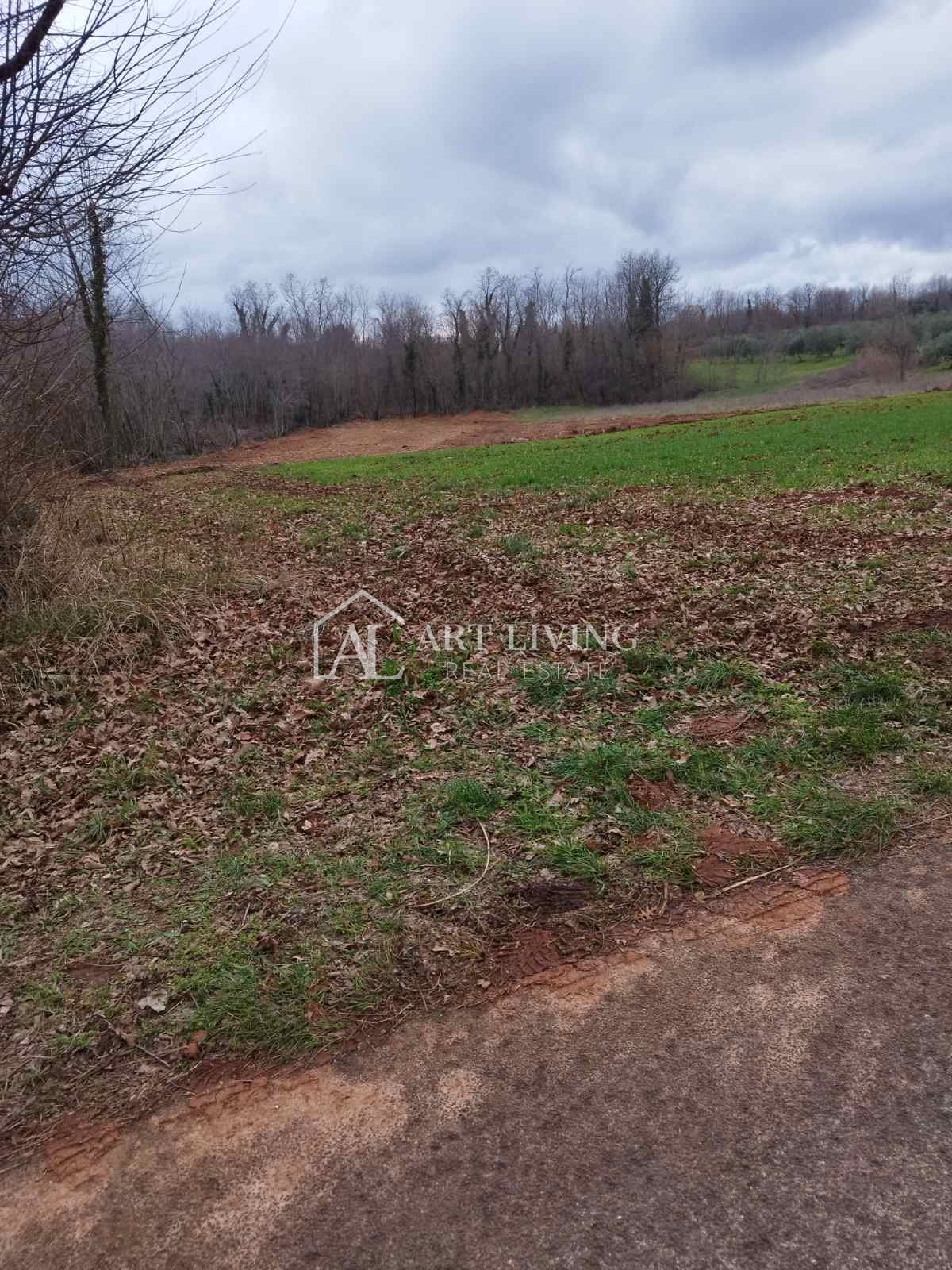 Terrain À vendre - Istarska Barban - foto 1/17