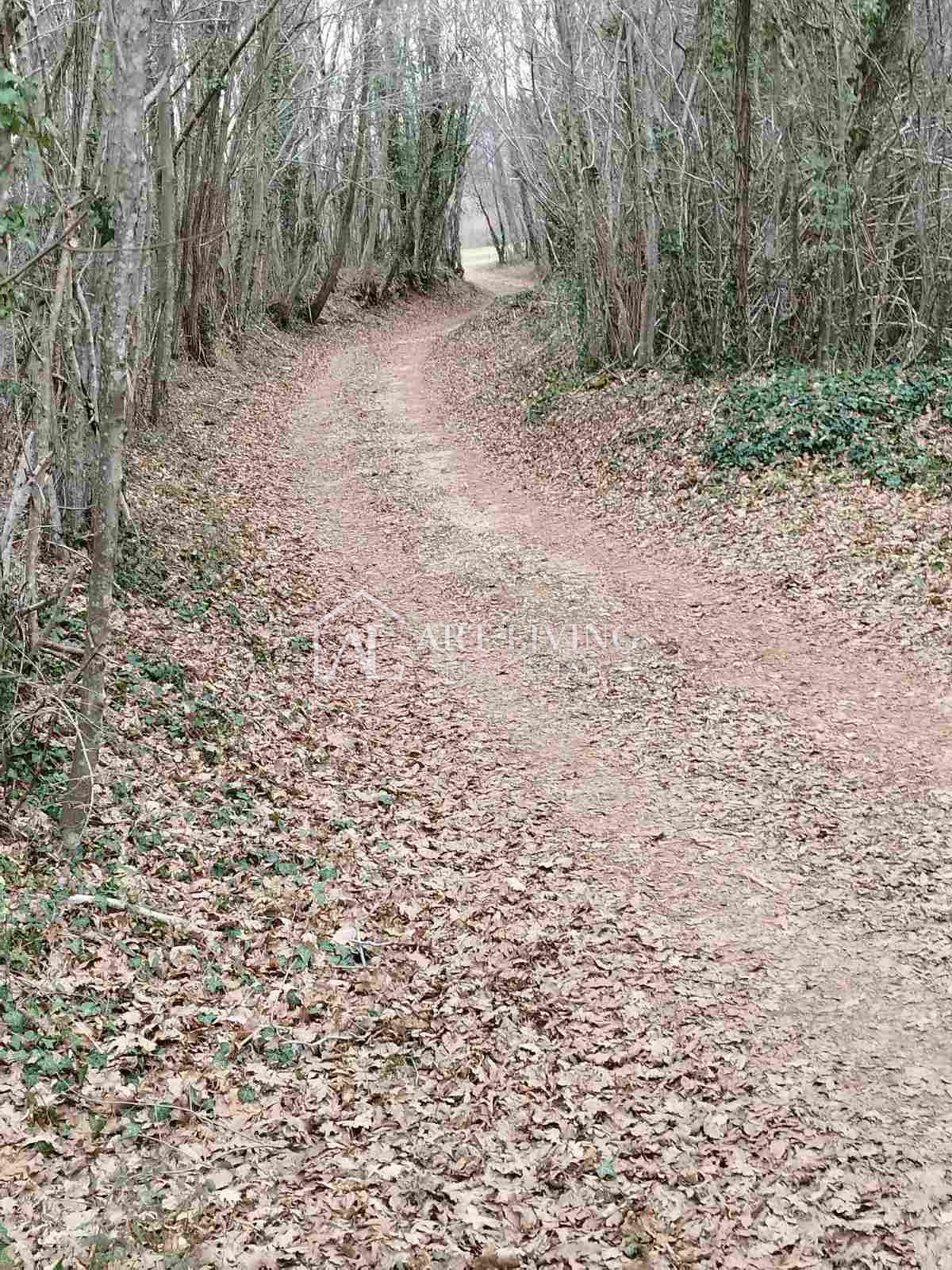 Terrain À vendre - Istarska Barban - foto 3/17