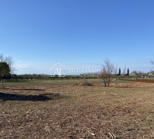 Pozemok na predaj 3000 m² – Brtonigla