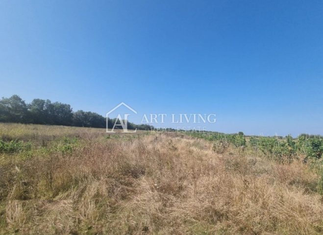 Terreno In vendita - Istarska Brtonigla - foto 4/4