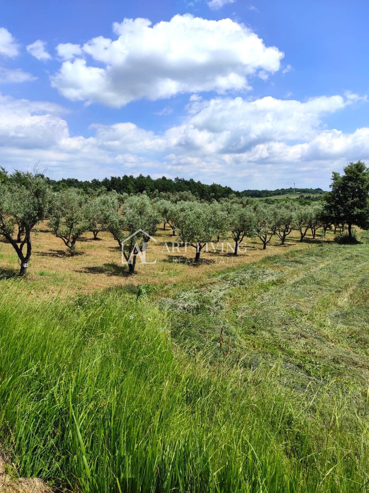 Land For sale - Istarska Poreč - foto 1/6