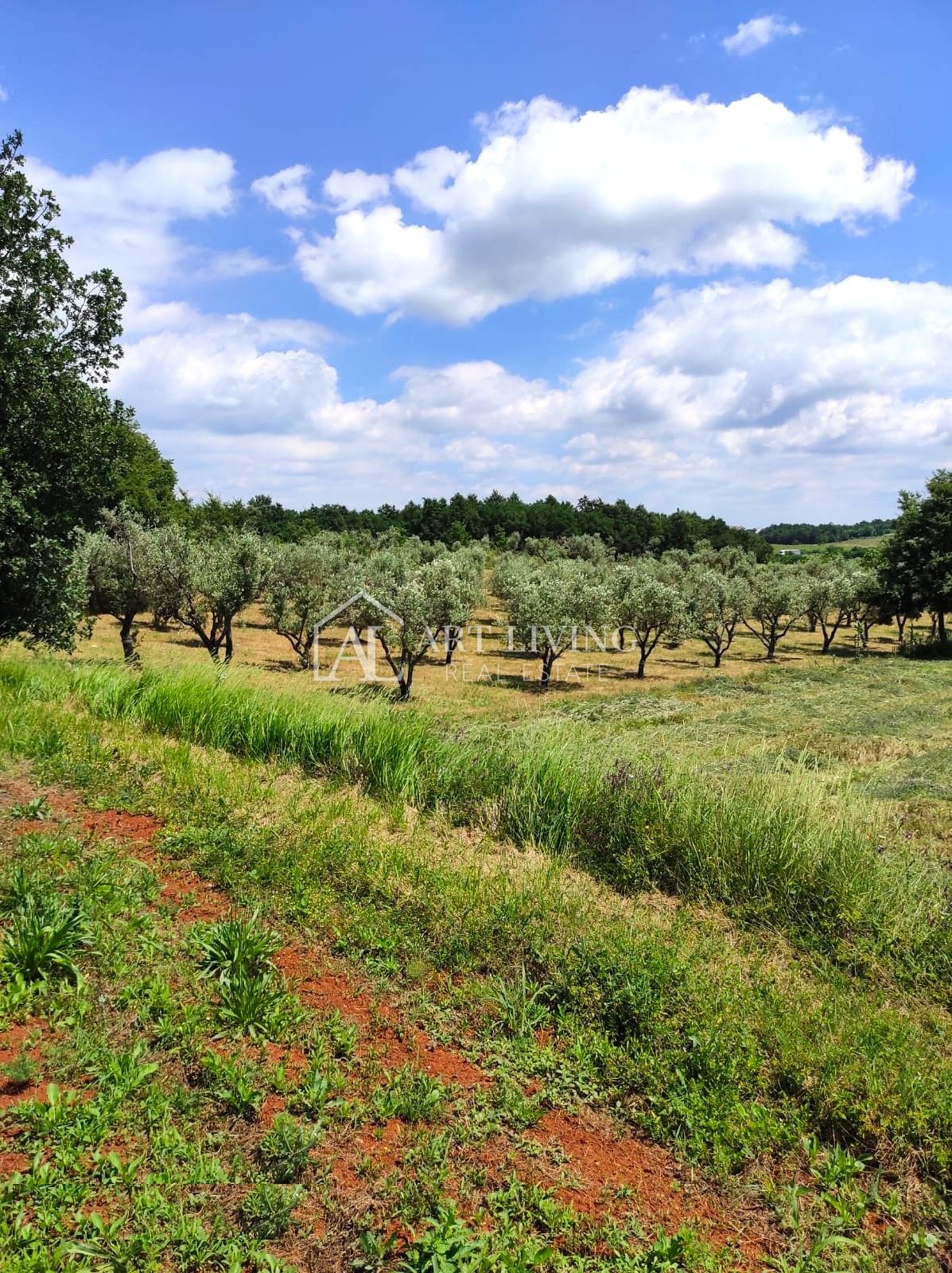 Land For sale - Istarska Poreč - foto 2/6
