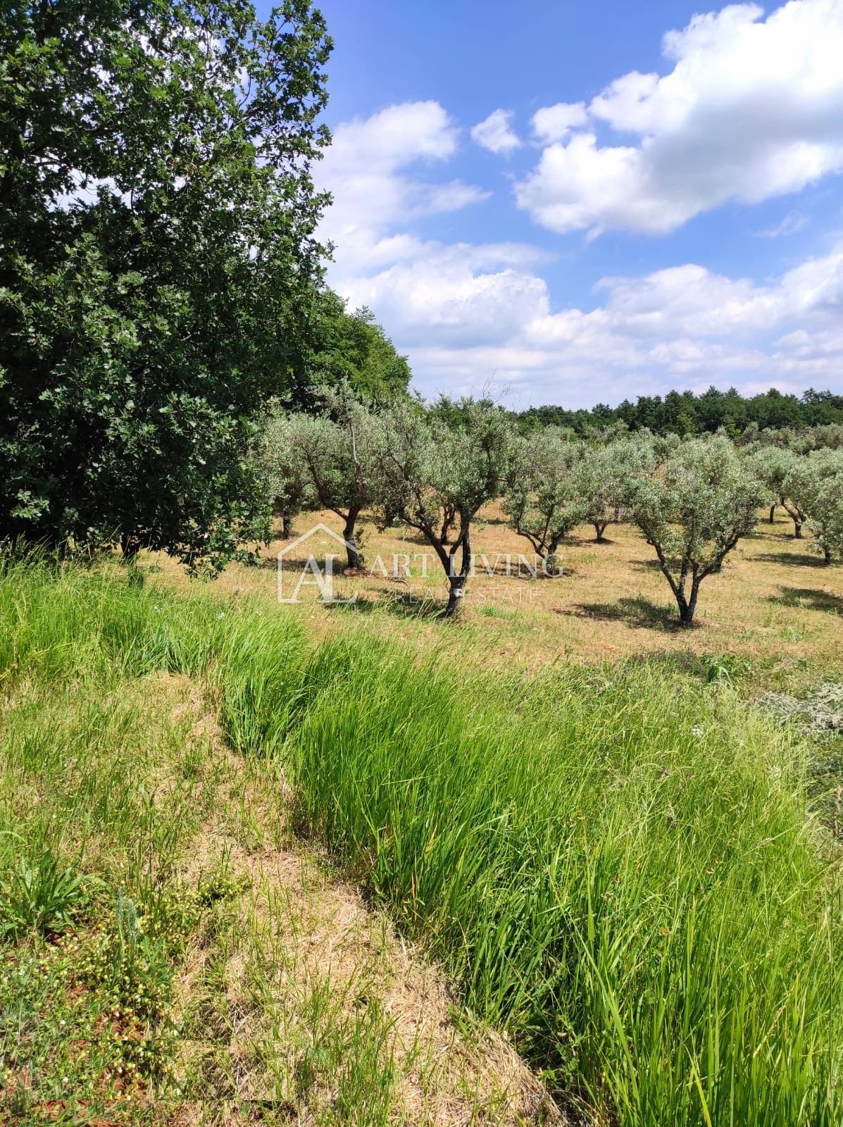 Land For sale - Istarska Poreč - foto 3/6