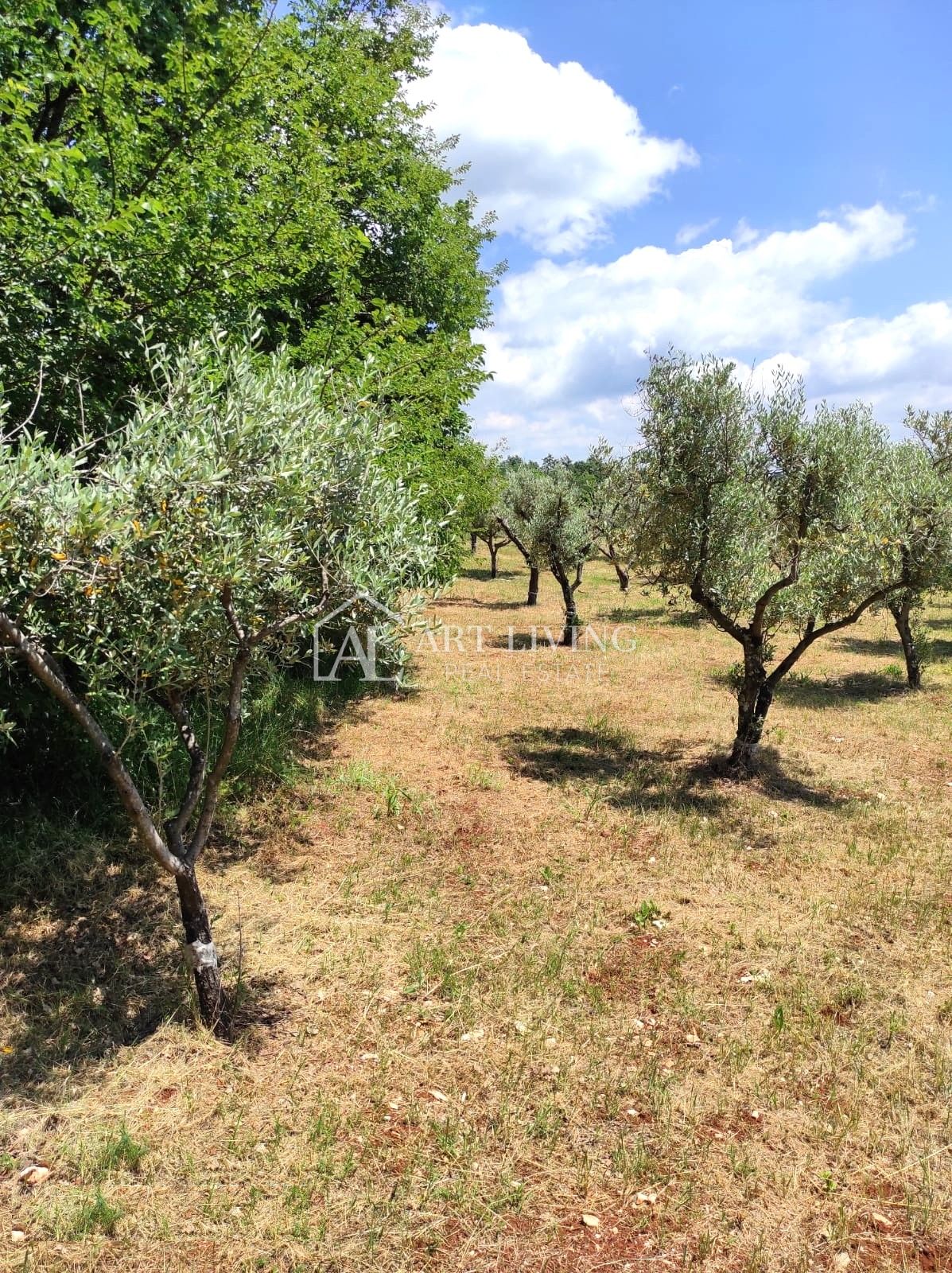 Land For sale - Istarska Poreč - foto 4/6