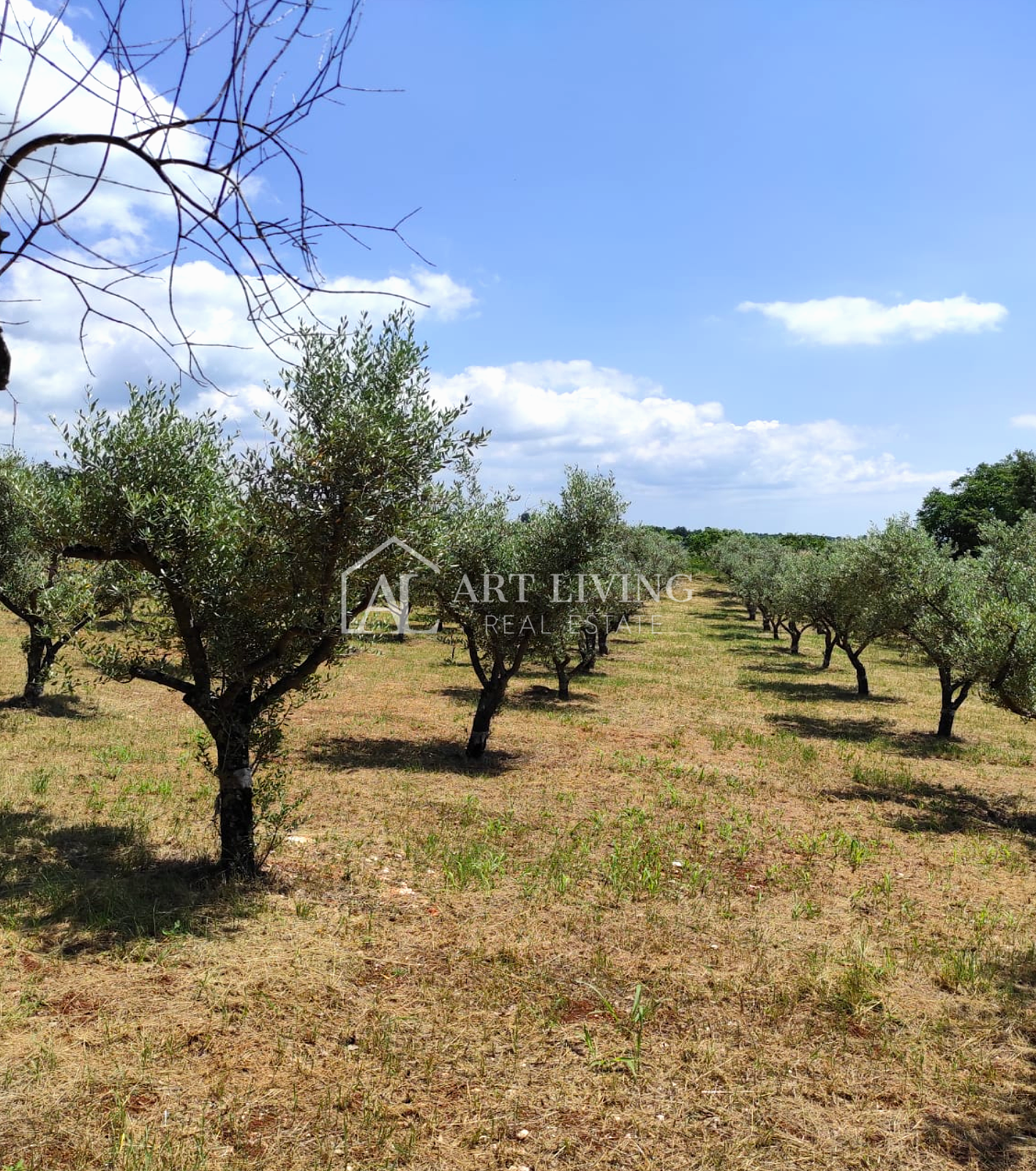 Land For sale - Istarska Poreč - foto 5/6