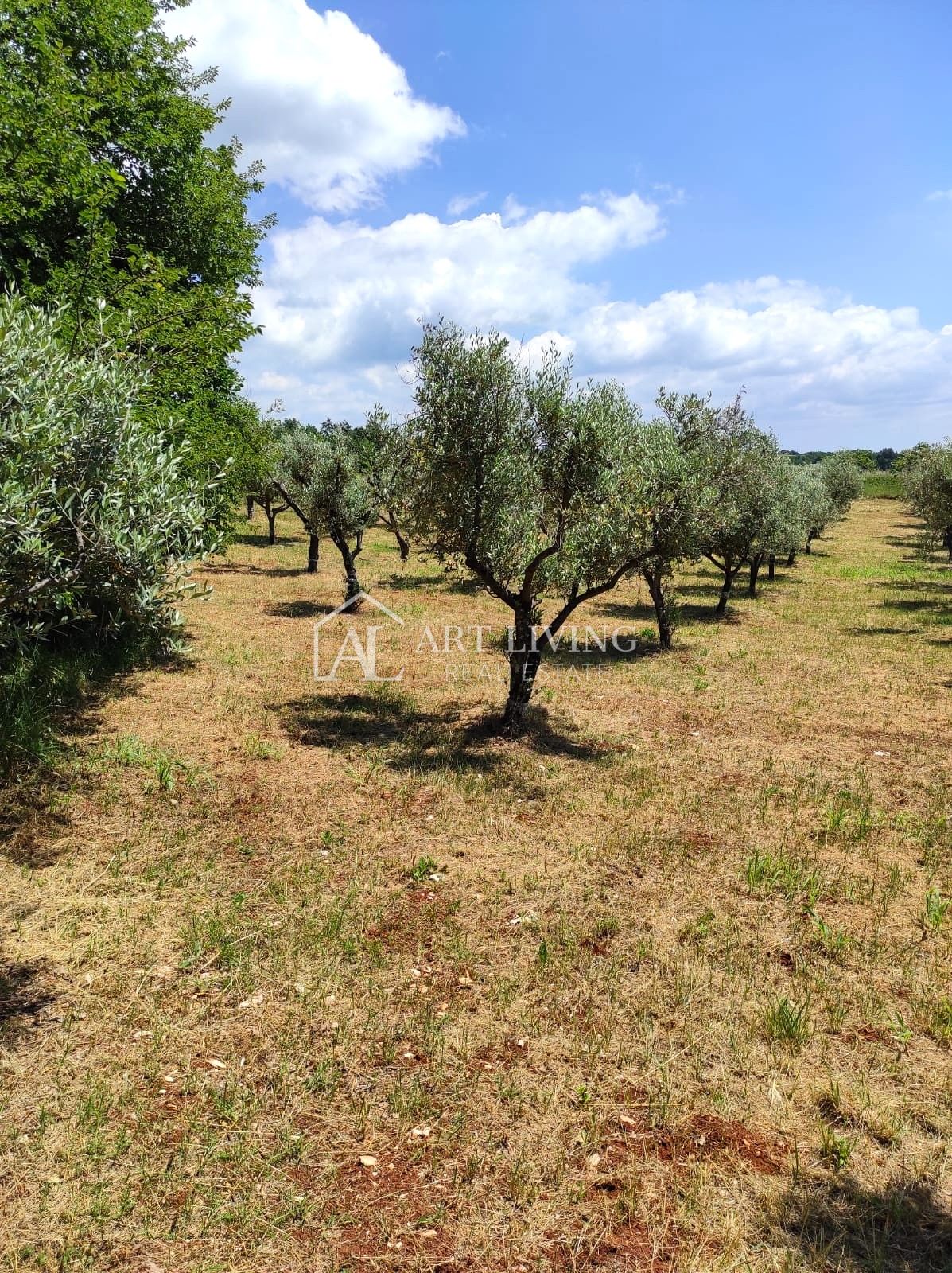 Land For sale - Istarska Poreč