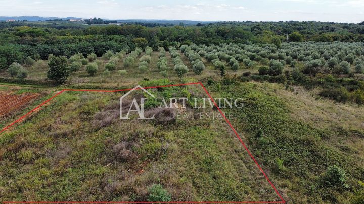 Działka na sprzedaż 2600 m² – Umag