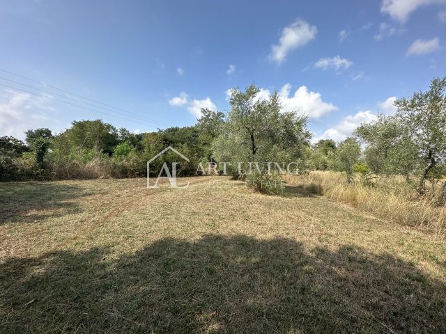 Casa In vendita - Istarska Umag - foto 2/14