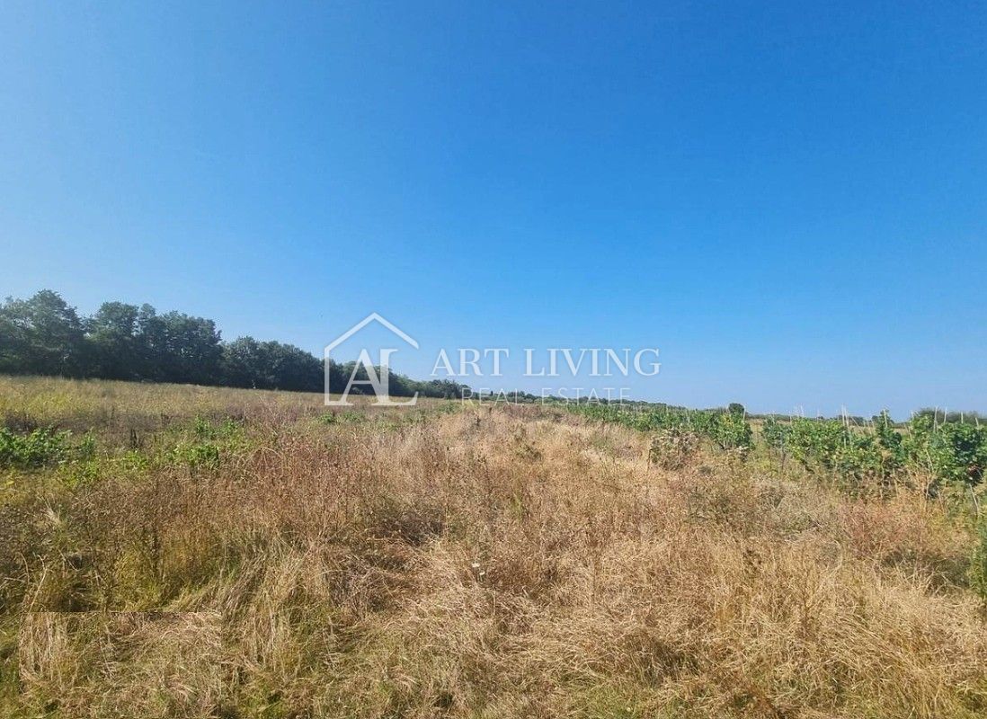 Land For sale - Istarska Poreč - foto 4/4