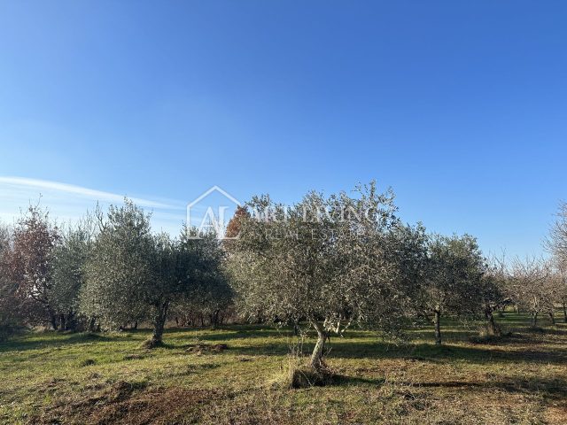 Pozemek na prodej 1500 m² – Umag